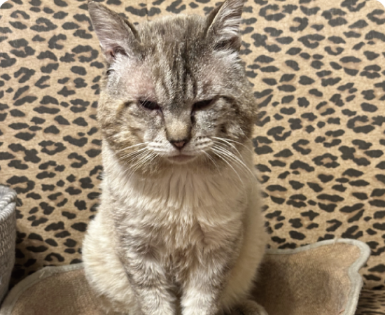 メインフロアー